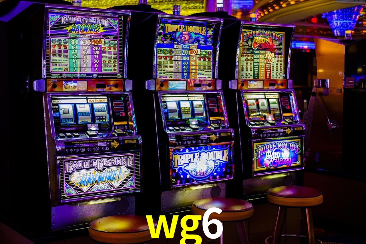 Programa VIP wg6